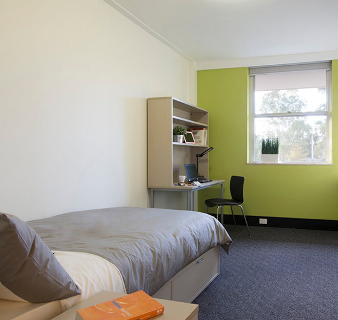 Best Student Accommodation Near the University of New South Wales (UNSW) 