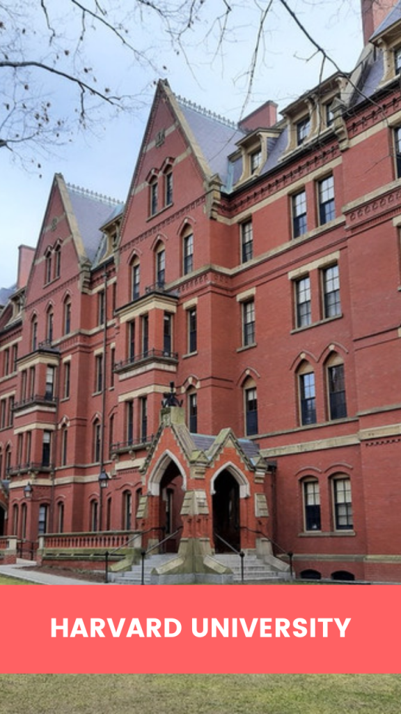 Best Undergraduate Business Schools In The World Uniacco Best Undergraduate Business Schools In The World Uniacco