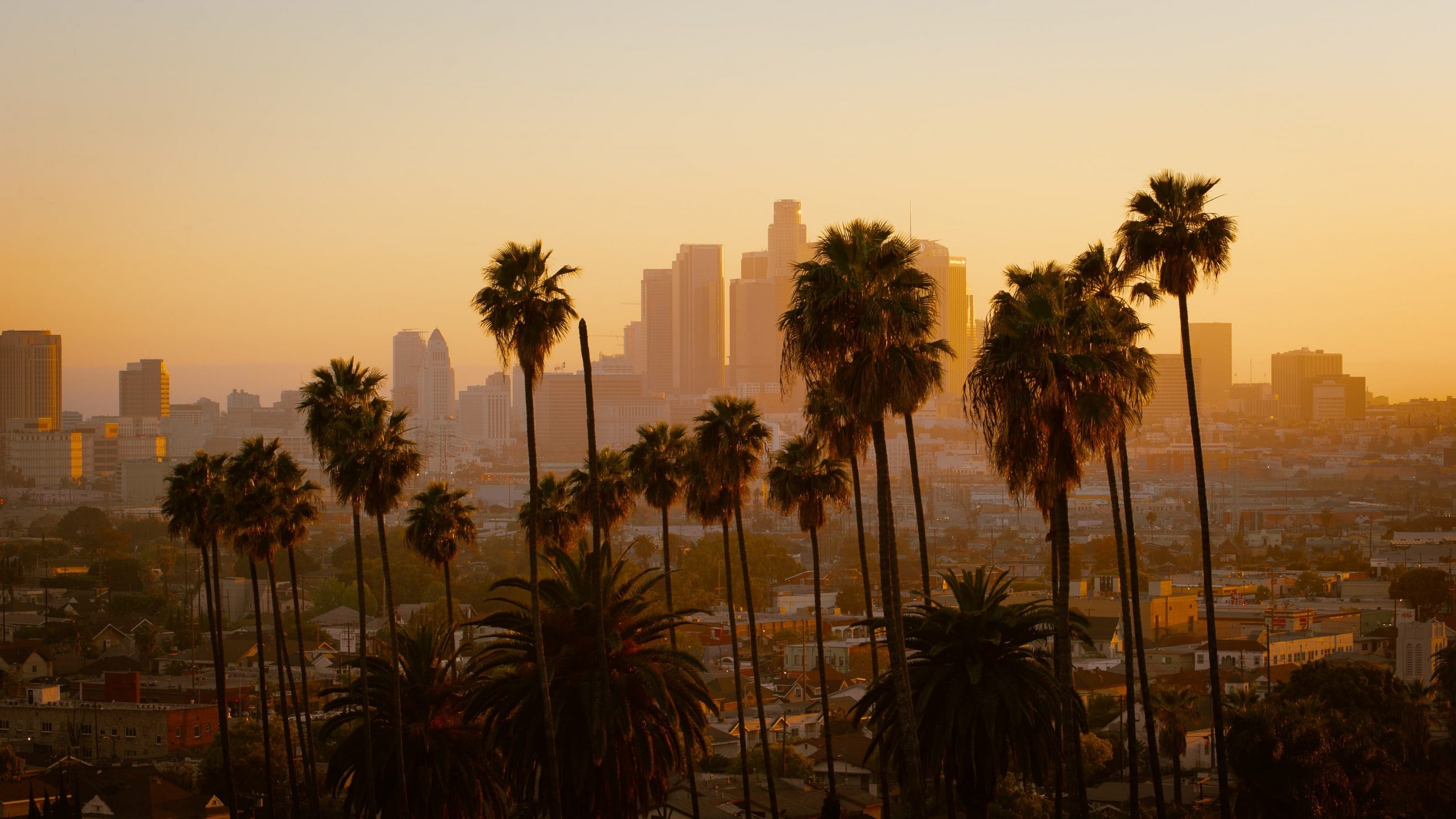Discover Places to Visit in Los Angeles Tourist Places & Top