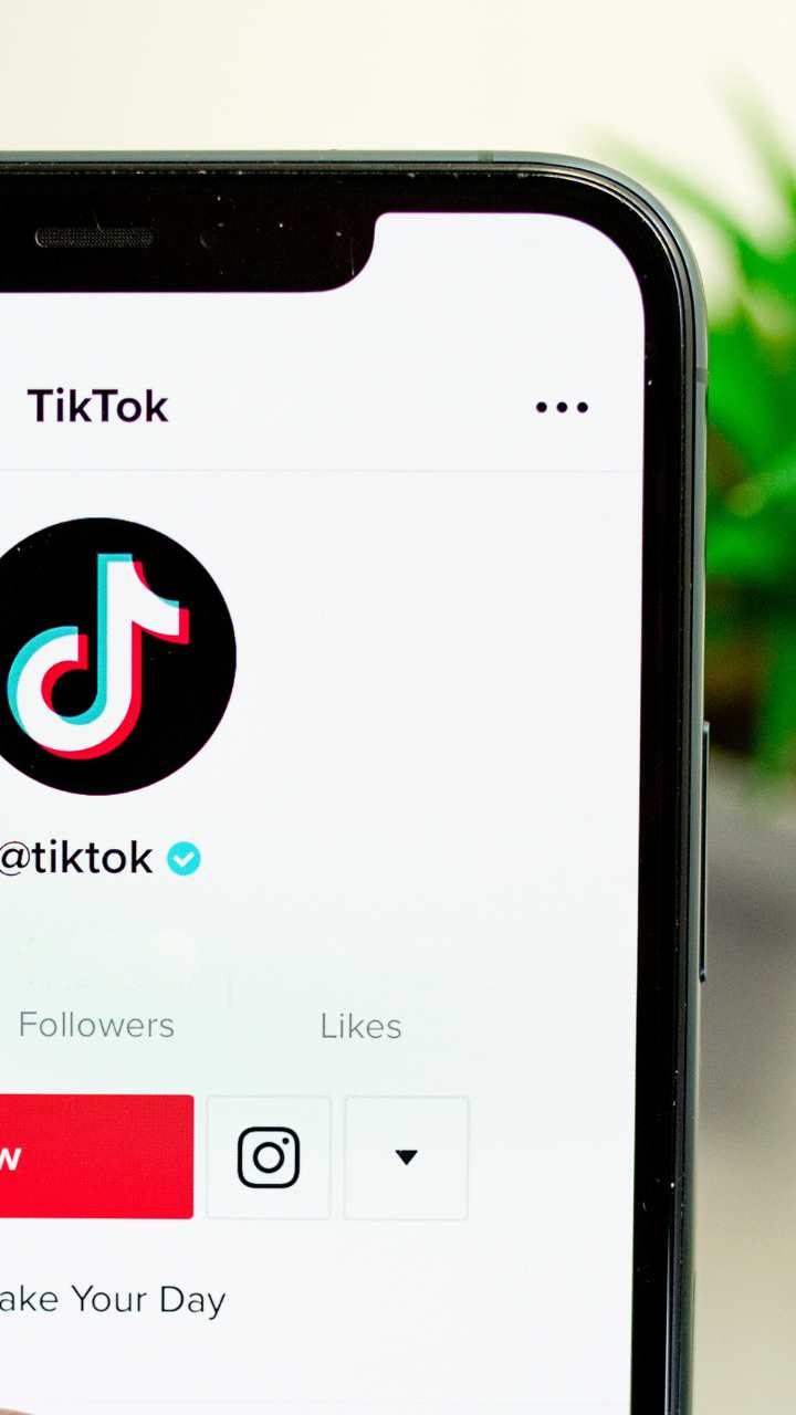 Top 5 Educational TikTok Accounts You Must Follow UniAcco Top 5 Educational TikTok Accounts You Must Follow UniAcco