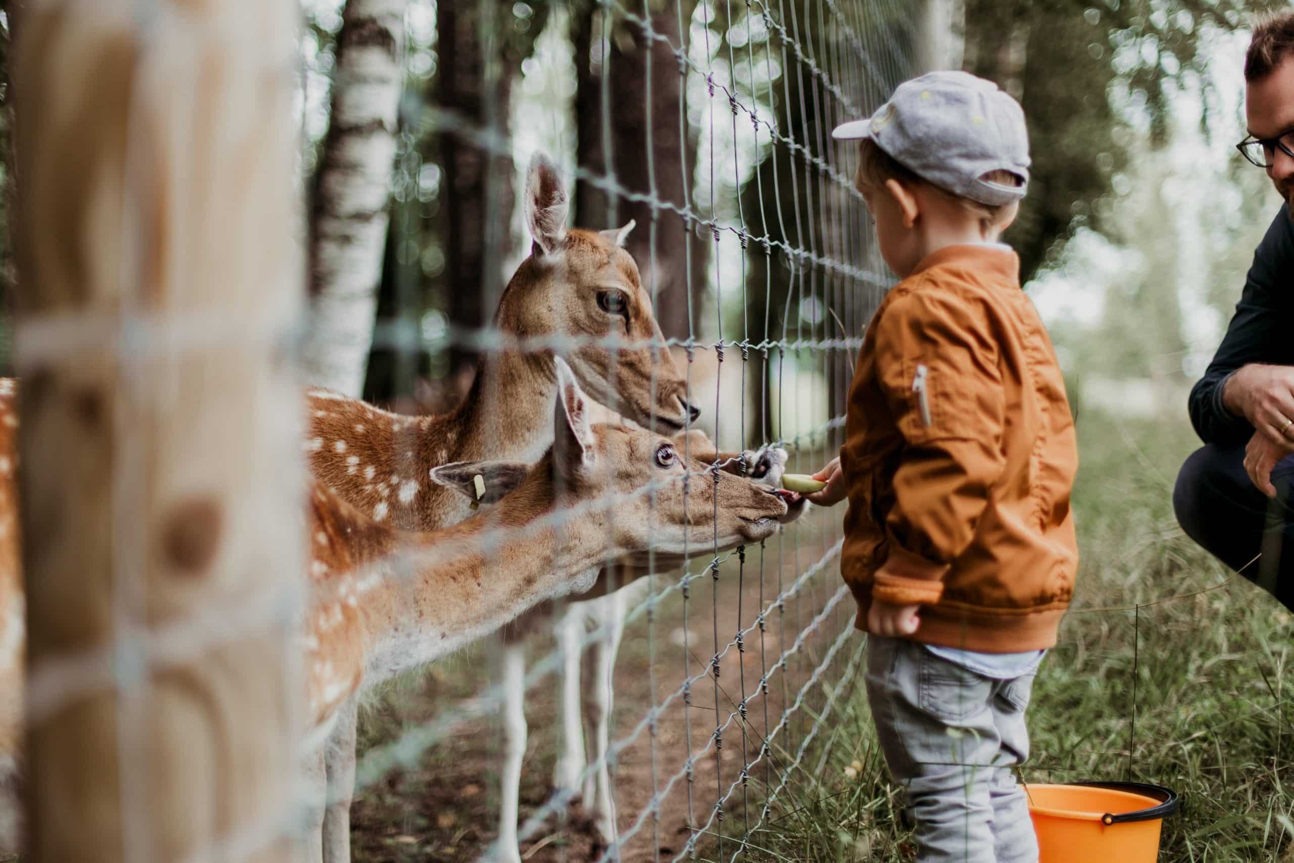 Zoos In Australia