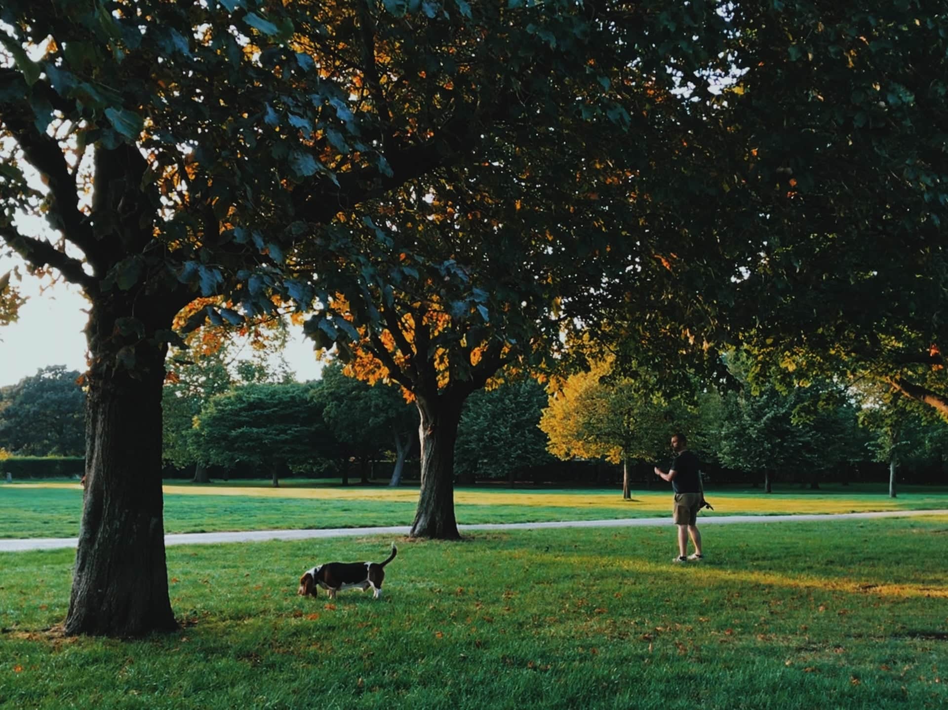 Top 10 Parks In London